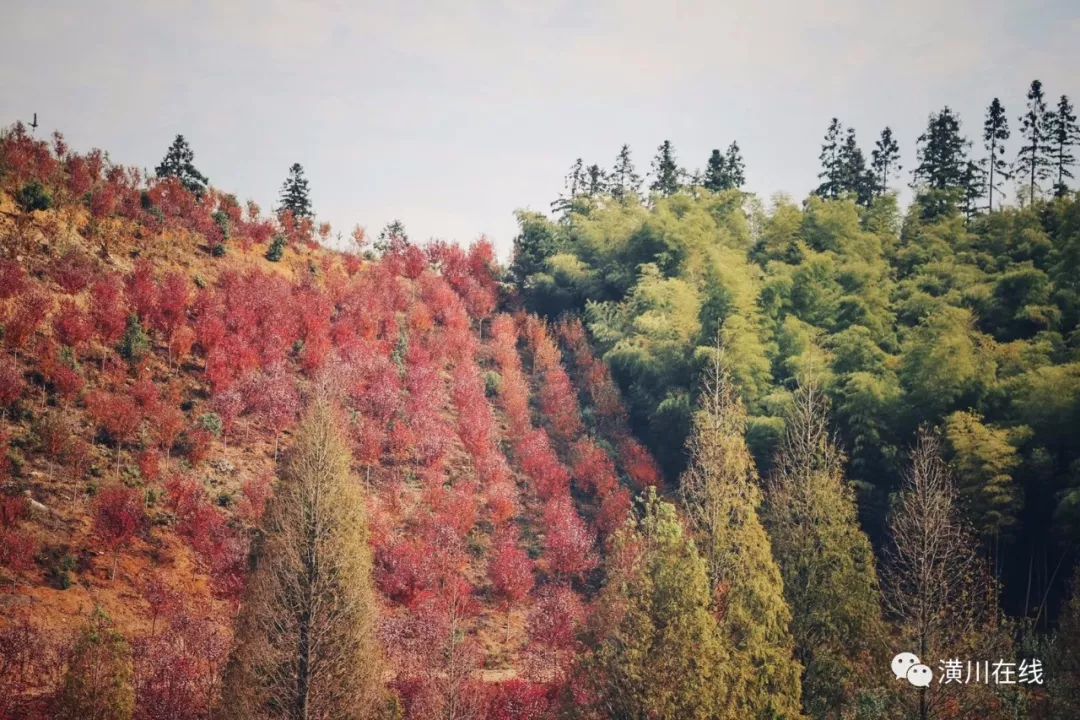 潢川双柳高山,潢川最高峰