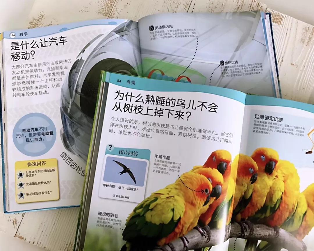 适合宝宝看的动物世界纪录片,十大儿童必看动物纪录片