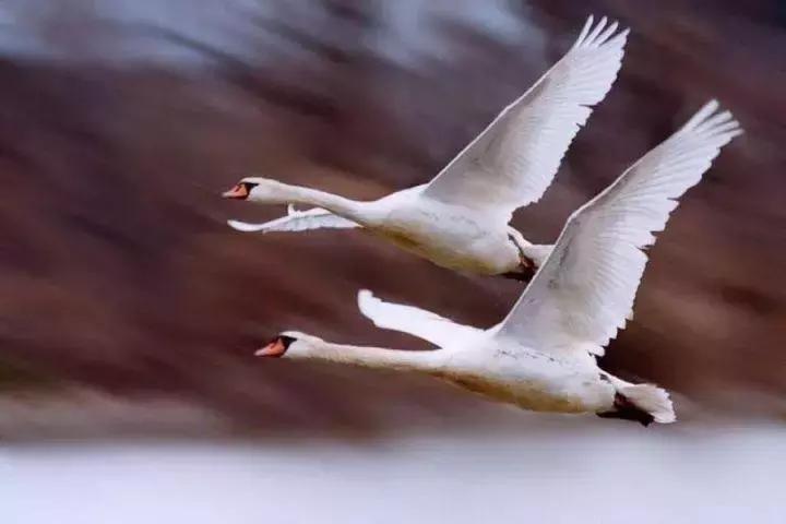 2023十大语文差错,2022年十大语文差错发布