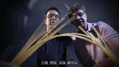 太硬核了全场高能视频,太硬核了全场高能