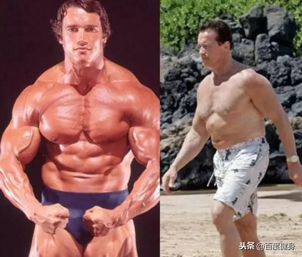 肌肉男断开健身1年后，其身体素质与之前相比有什么差别？