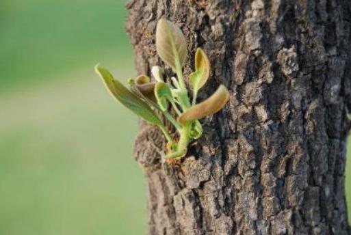 心理测试测你是吉相命还是苦命,心理测试测你的事业是否成功兴旺