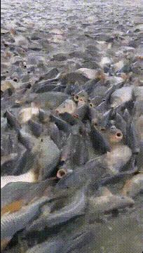 这么可爱的新娘，让你老公措手不及啊