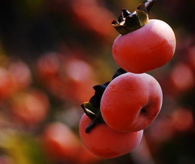 翻脸不认人的人最可怕,人生我们要学会翻脸不认人