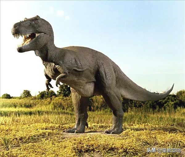 费曼技巧：世界公认高效学习法，古人用得很溜