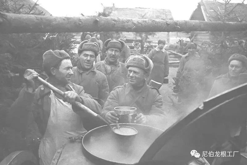 灰色牲口投食器：苏俄牵引式*战野**厨房小史