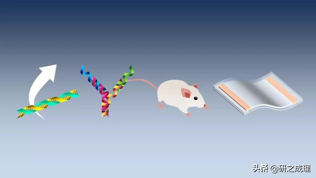 3d晶体科研绘图ppt,用ppt做3d科研图