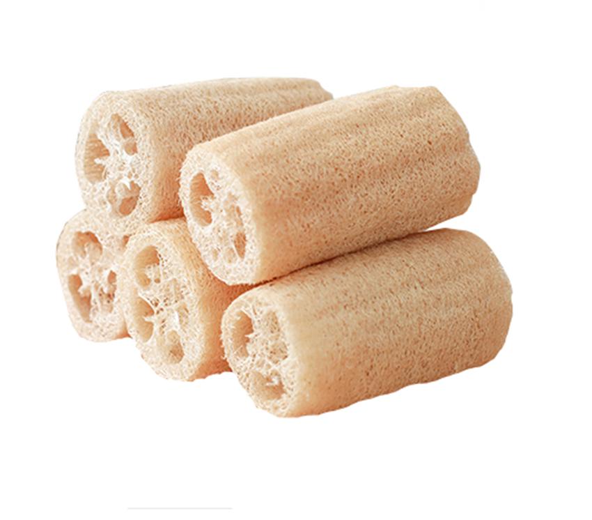 隔壁大爷种植丝瓜专卖老瓜，别人论斤卖他论个，有多少卖多少