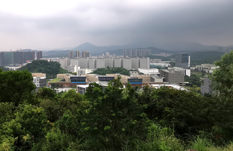 香港中文大学深圳学院校园风景,香港中文大学深圳校区校园环境