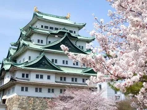 出国去日本买房怎么样,在日本旅游买房划算吗