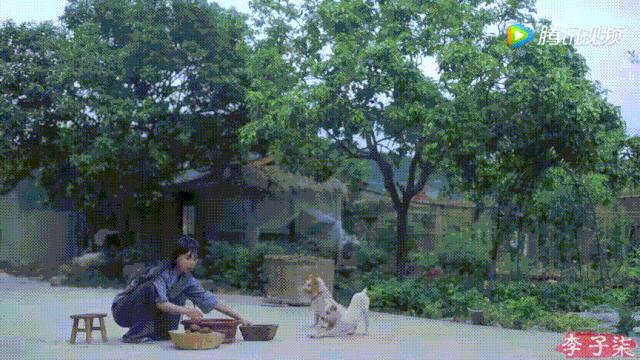 李子柒视频转场技巧,李子柒拍摄视频技巧