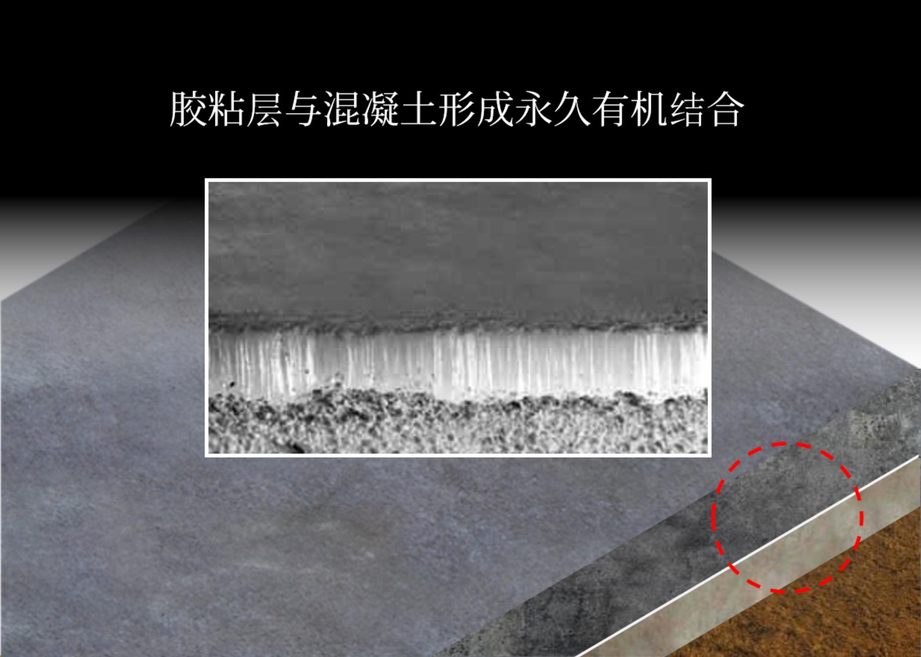 专注防水30年靠谱省心,你身边的防水专家