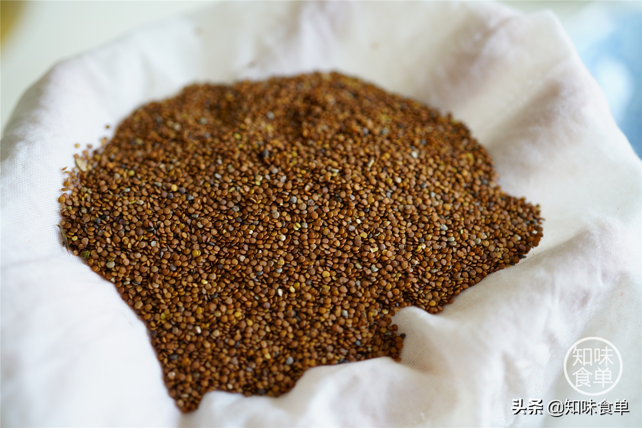 食单丨手工冰粉制作丨最全冰粉制作指南，天然*物冰植**粉大比拼