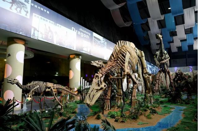 中国恐龙种类有哪些,中国恐龙多少种类