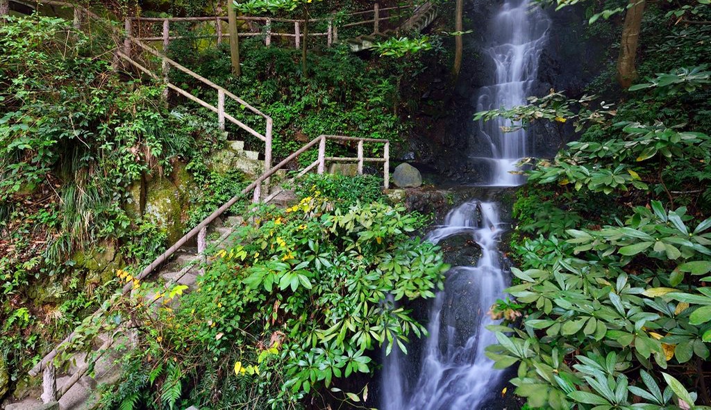 武夷山嘉元千禧度假酒店实拍,武夷山千禧酒店对比悦华酒店