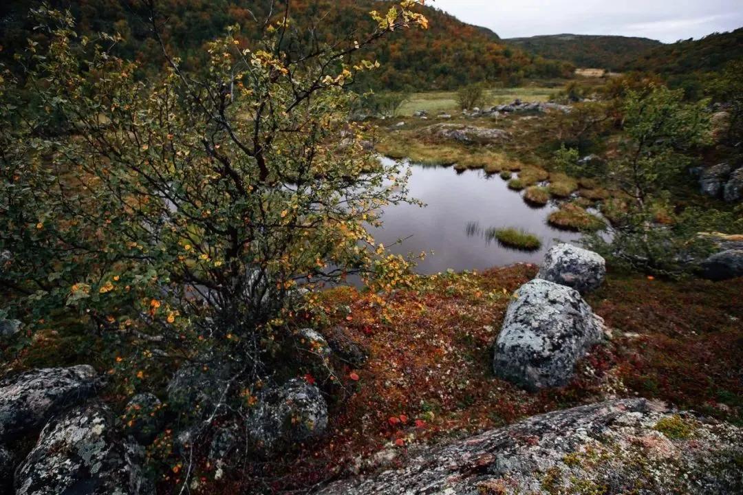 自媒体新手怎么入门音乐视频剪辑,新手入门自媒体手把手教你做视频