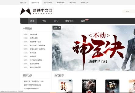 网络小说入门建议：大小网站如何抉择？