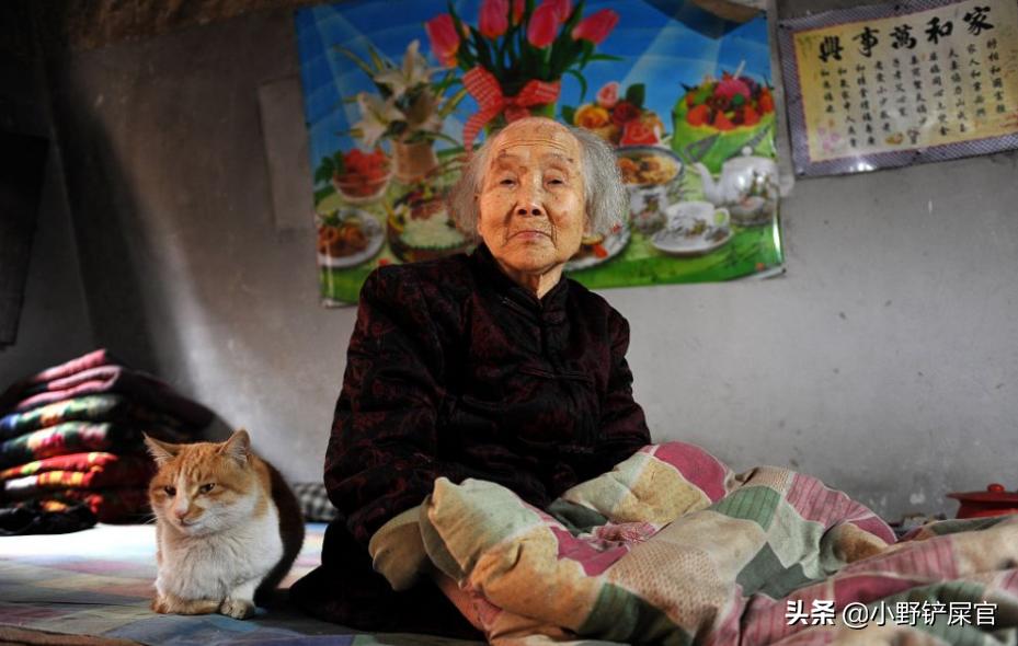 为什么猫咪适合老人养,猫咪步入老年的状态