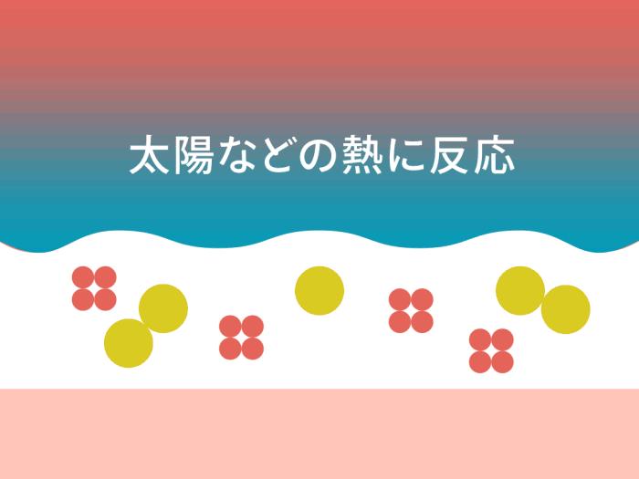 2020版安耐晒60ml防晒鉴别,安耐晒粉金瓶防晒60ml