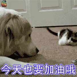 唐山住房公积金查询个人账户查询,唐山住房公积金个人查询入口