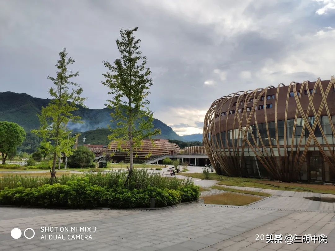 永安竹天下最近的消息,永安竹天下又在建新楼盘吗