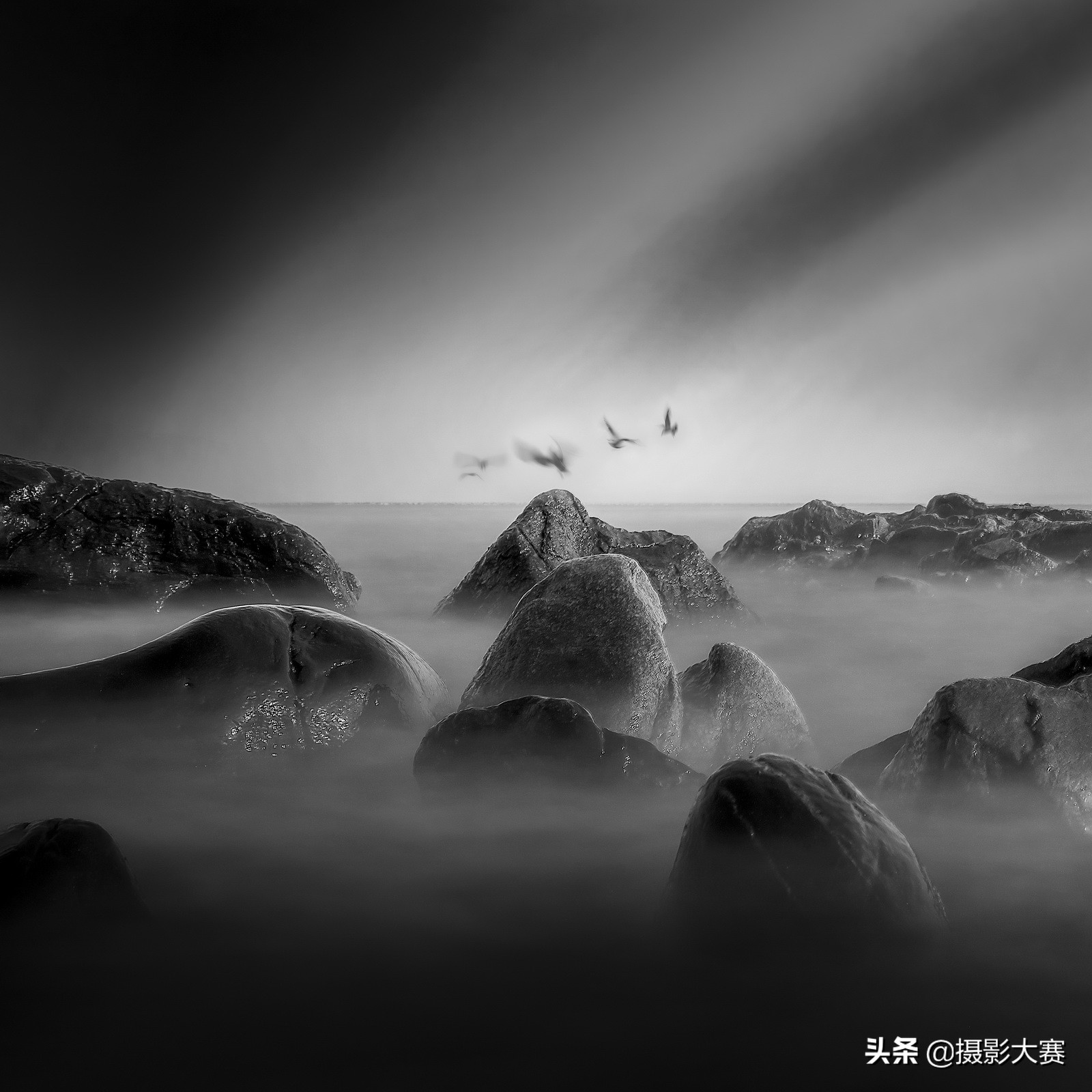 尼康摄影大赛什么时候开始,2023尼康摄影大赛官方网站