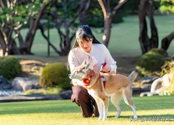 日本爱子公主可借的王冠,日本爱子公主成年王冠