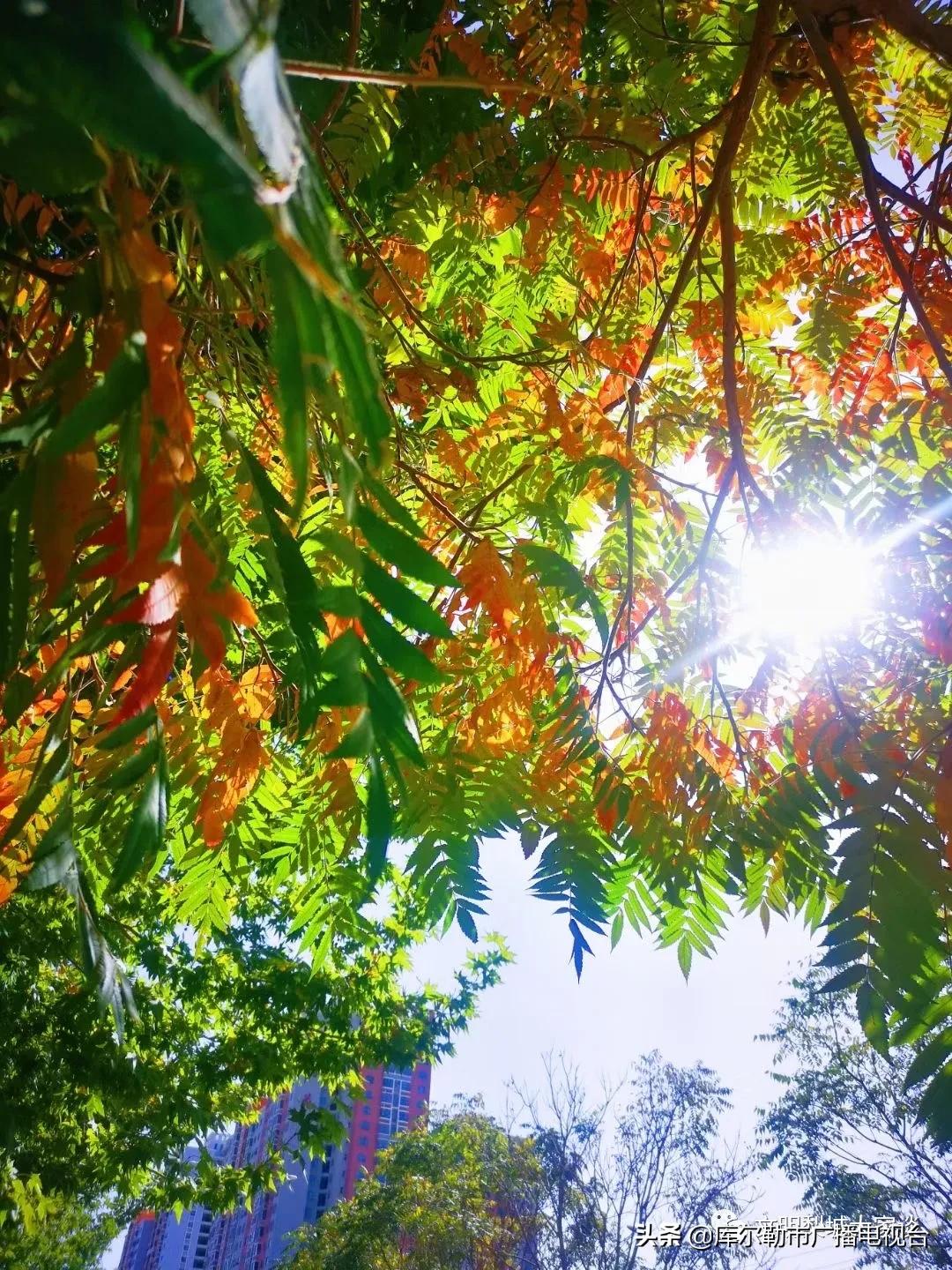 文旅盛宴绽放梨城双节同庆礼遇金秋