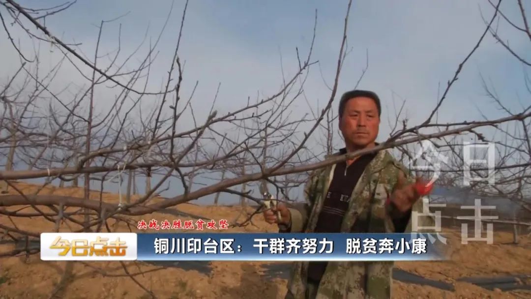 铜川印台脱贫攻坚,铜川印台区脱贫户