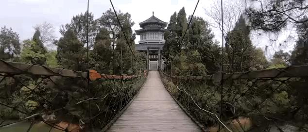 飞宇ricca运动相机测评,飞宇云台相机和运动相机对比