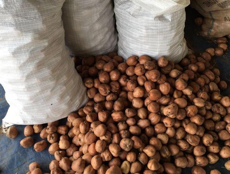 有料丨扎心了老铁！你花2000块开的佛心果，可能就值3块钱