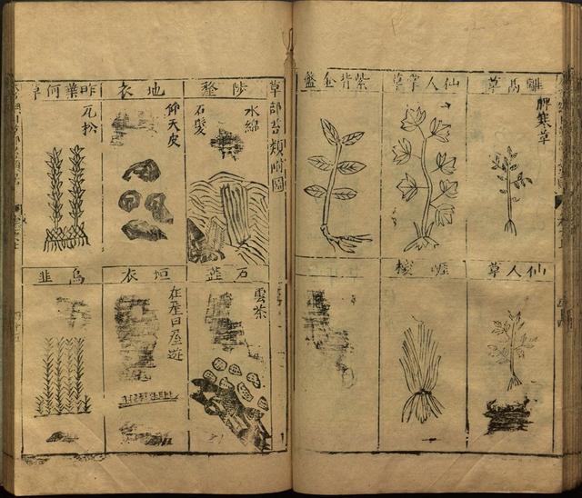 李时珍与本草纲目ppt课件,神农本草经正版李时珍书籍