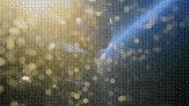 中国南海发现古董沉船,我国南海发现古沉船