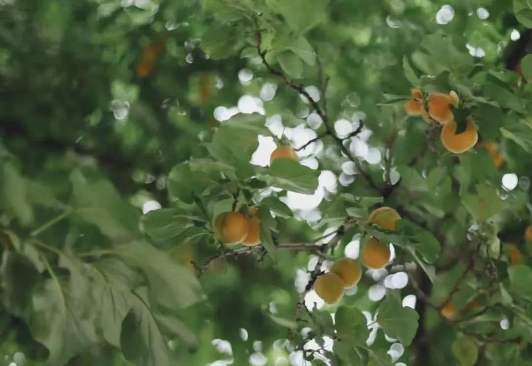 国内必拍的10家最美网红民宿,适合拍照的网红民宿