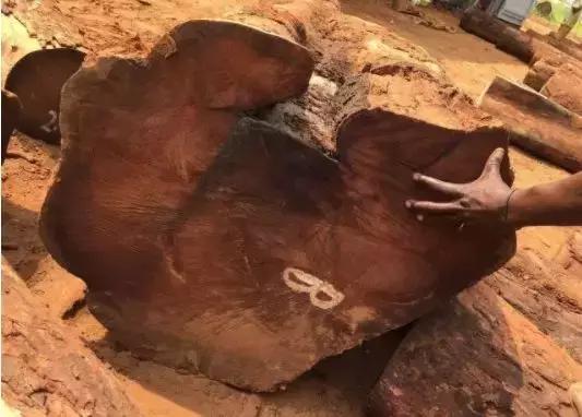 明清时期最受欢迎的7种红木用材,红木用材特征分类标准有哪些