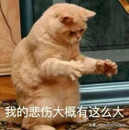 手指少了一块肉怎么处理,手指少了一截