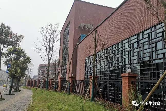 大连金州重点初中,西附金州校区到底如何