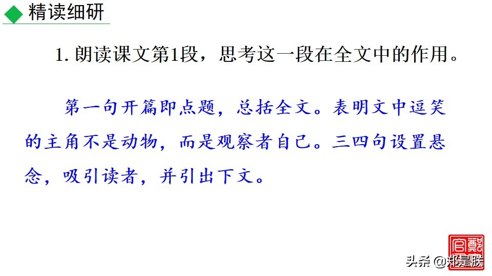 七上人教版第十七课动物笑谈课件,七上语文动物笑谈