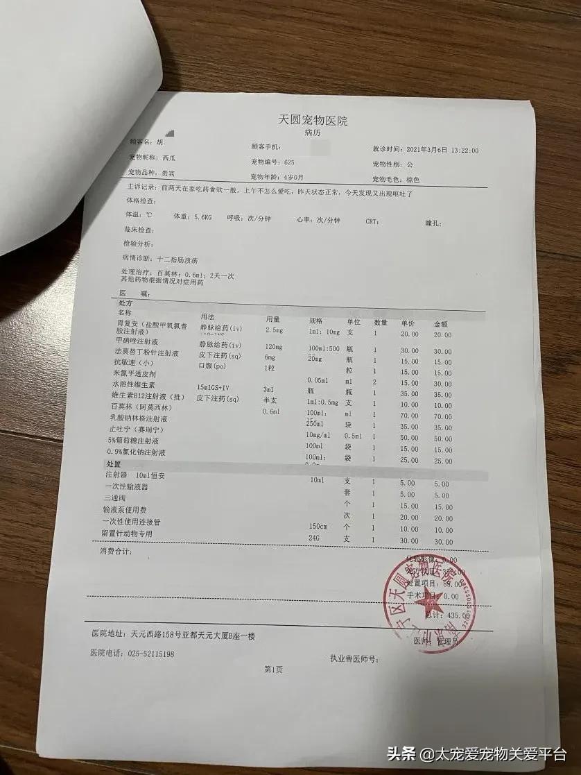 十二指肠溃疡丨太宠爱理赔案例南京天圆宠物医院