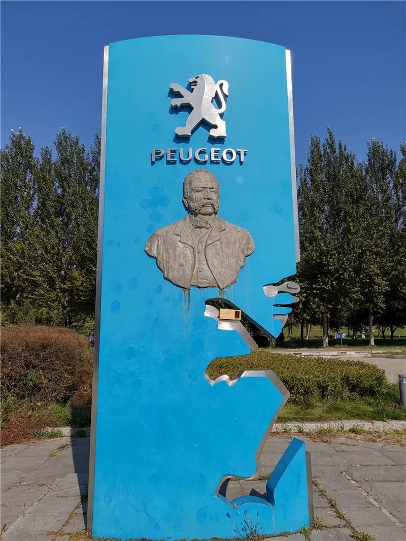 一任天真盈香易泡：冷泡，闷泡，淋泡轮番上阵怎么泡都好喝