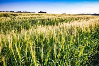 高中英语高考高频单词词汇表,高中英语常考形容词归纳大全