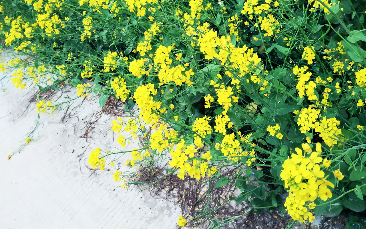 为啥会有对这个社会不满意的感觉,对社会失去感觉了怎么办