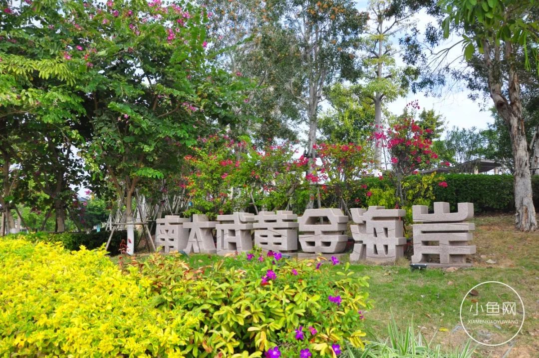 鬼城or未来可期？我们走进漳州港，发现“接盘侠”的各种悲喜交加