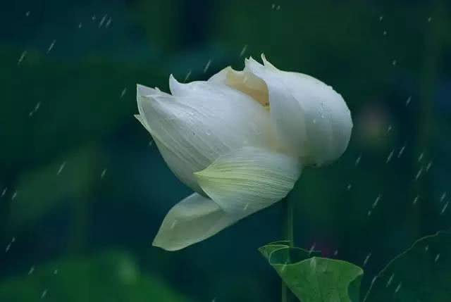 怎么用一招对付身边的小人,怎么解决小人最好的办法