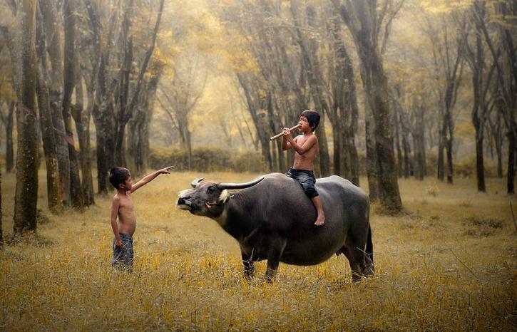 陶渊明30首最美田园诗,陶渊明田园诗冲淡自然之美