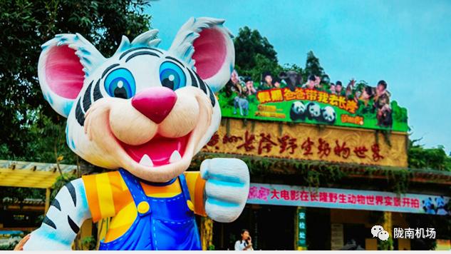 陇南机场换季,陇南2020机场冬春航线