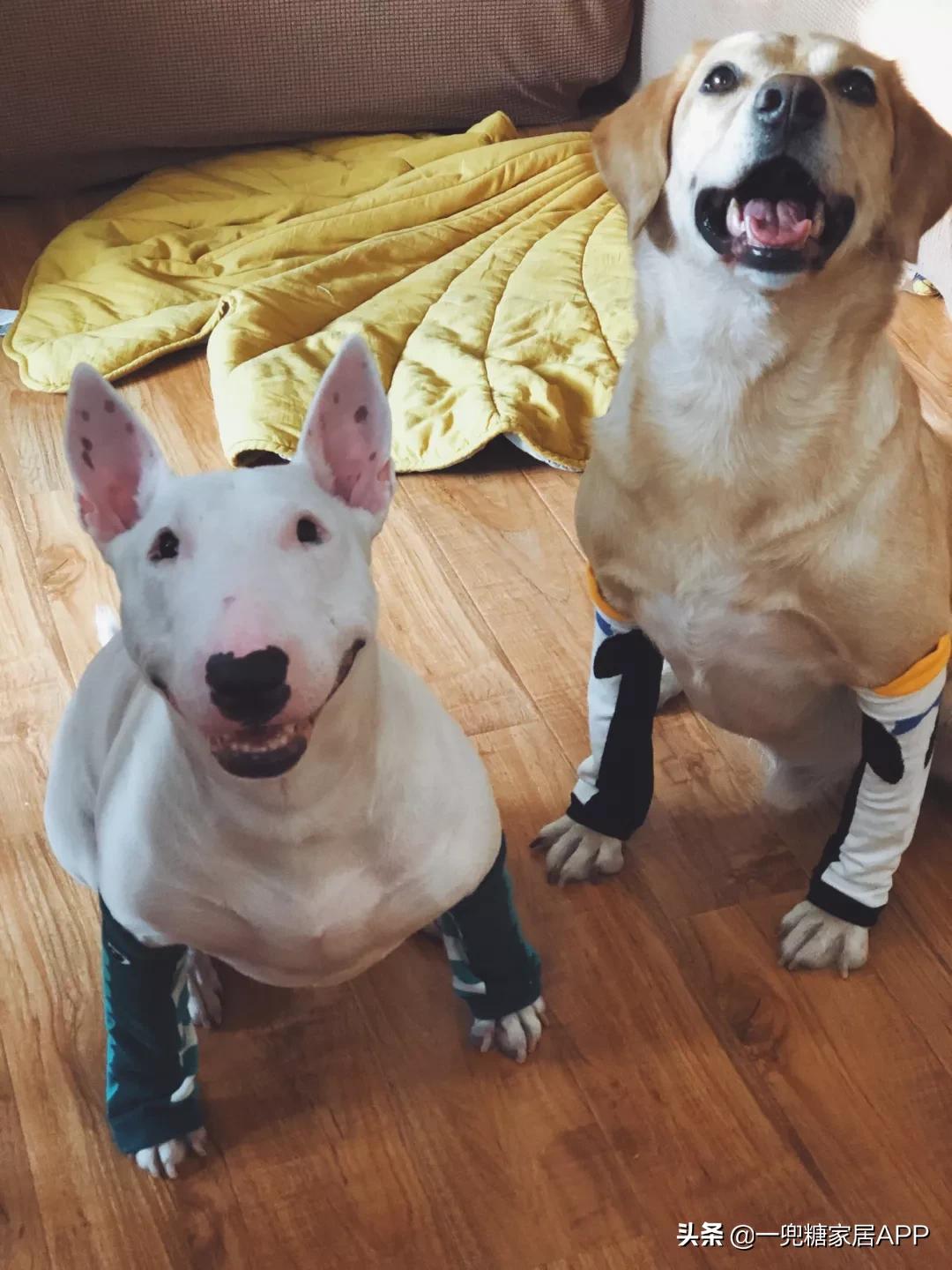 超实用的家居好物好看又实用,家居100件好物推荐