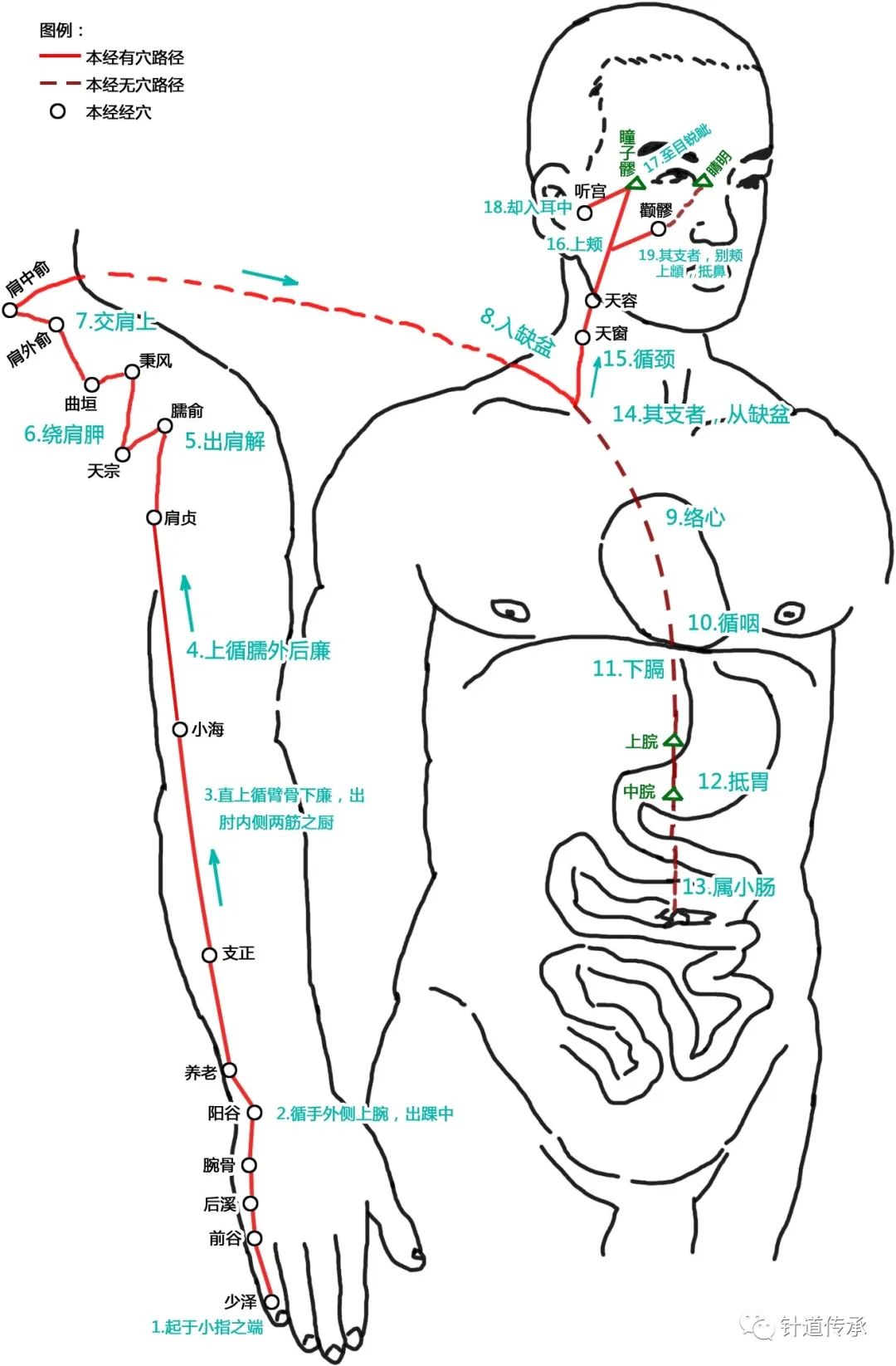 十二经络穴位好难背,十二经脉太难记