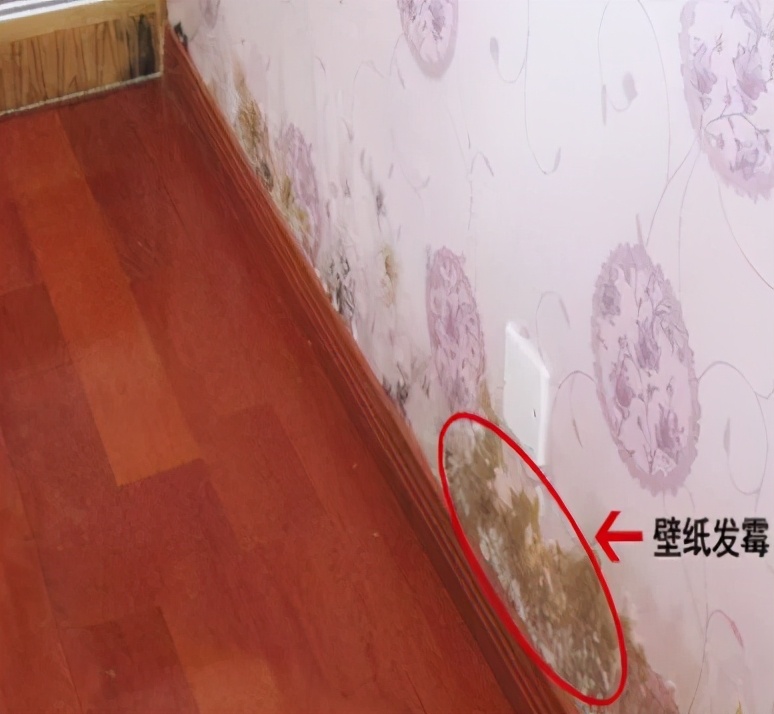 底楼抬高怎么防潮,底楼太潮湿怎么做防潮