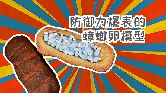 模型师消除家里蟑螂的模型,老袁如何消灭家里的蟑螂